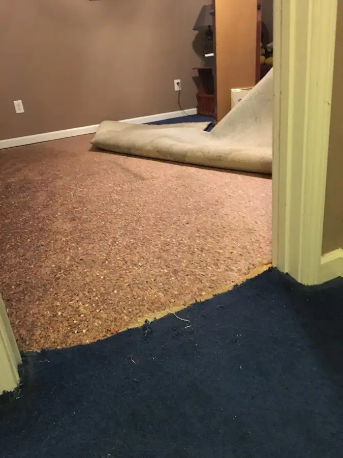 Carpet pad removal revealing water damage during Water Mitigation Services in Alafaya