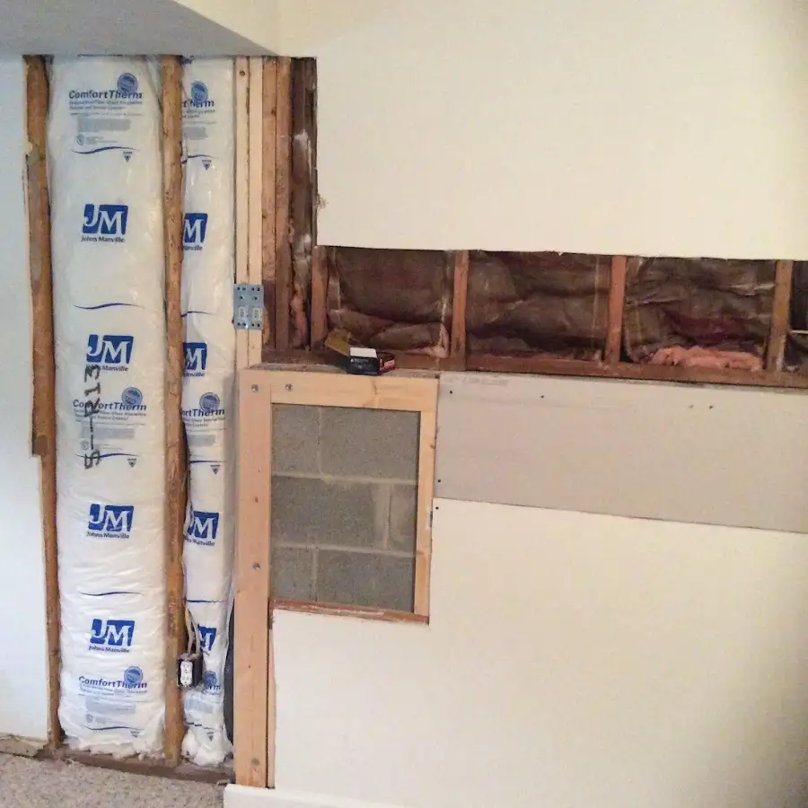 Wall insulation replacement during Odor Removal & Deodorization in Alafaya